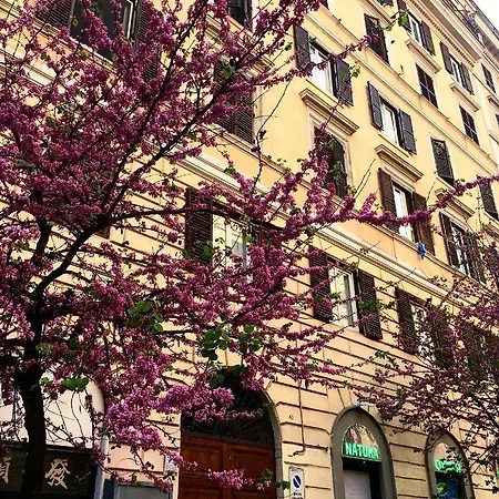 Apartmán In Řím